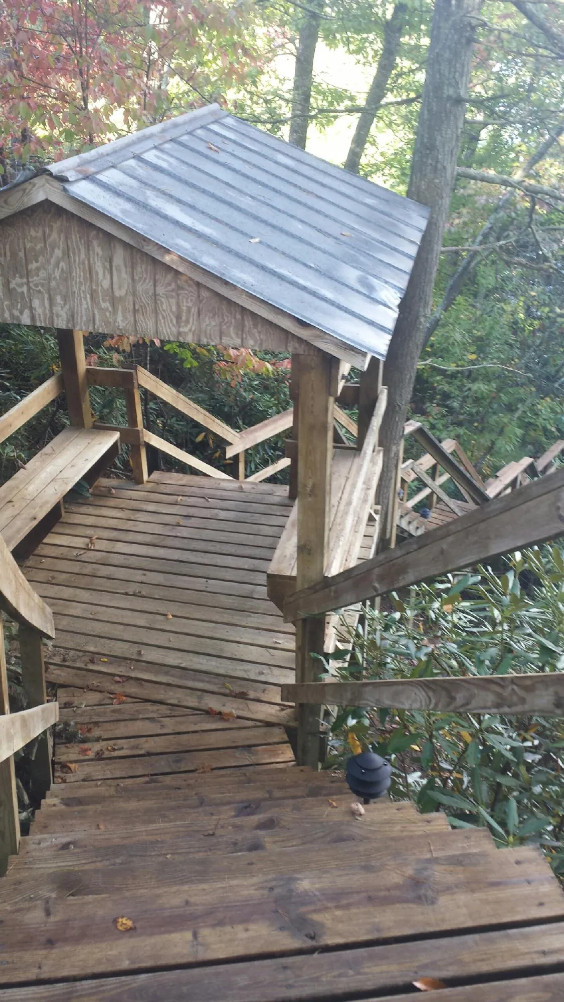 Metal roofed shelter over wooden steps on a wooded walkway — Skylight Repair & Installation work by our crew in Murphy